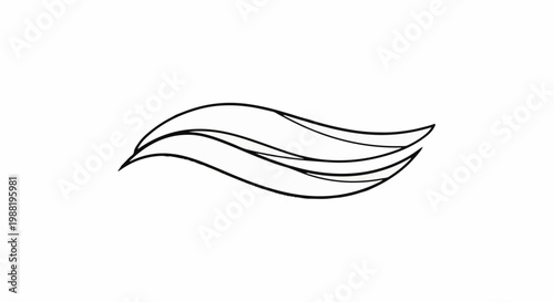 Abstract black lines create a sense of flowing water or stylized wings