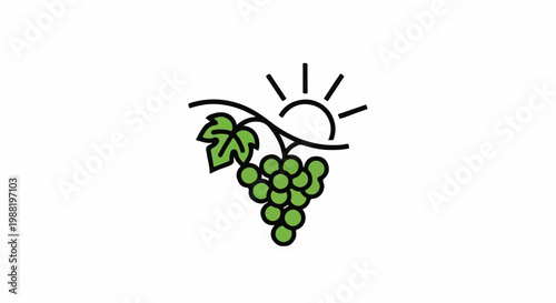 Simple line art of green grapes and a leaf under a stylized sun