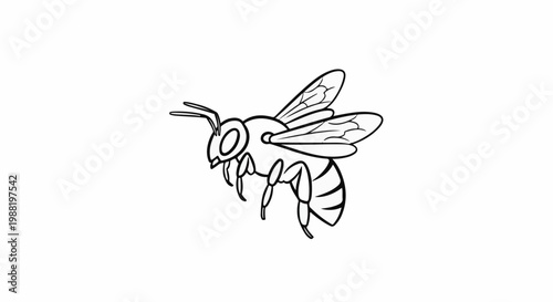 Line art illustration of a single bee in flight, isolated on white background