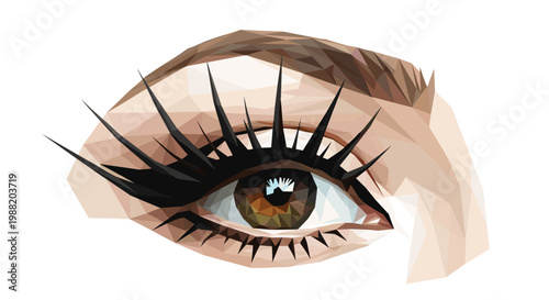 Stylized illustration of a womans eye featuring long false eyelashes, with geometric shapes and earthy tones, set against a white background
