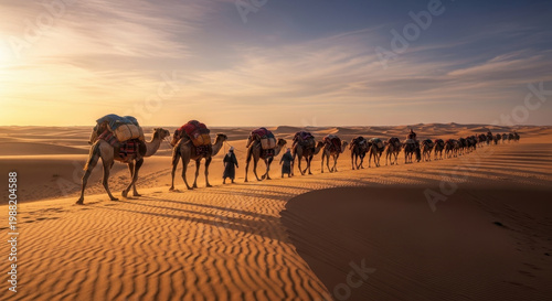 Caravan of Camels Walking Through Desert Dunes at Sunset