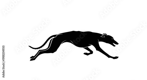 Elegant Greyhound Silhouette Dashes Across White Background, Embodying Speed Grace and Motion