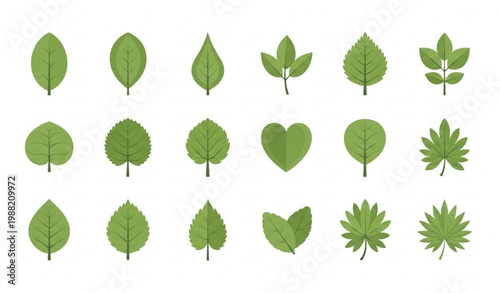 Green Leaves Icon Set Collection of Botanical Foliage Symbols Isolated Vector Illustration on White Background