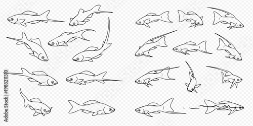 Set of black and white fish illustrations on a transparent background, depicting various swimming movements and angles.