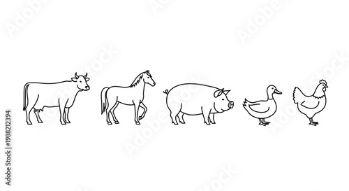 Farm animals standing in line.