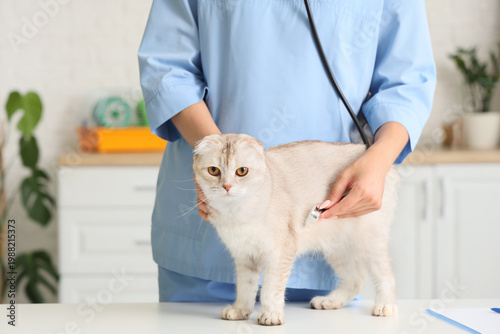 Female veterinarian examini...