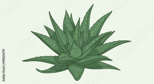 Green Aloe Vera Plant Illustration with White Spots on Light Background