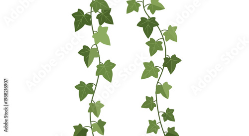 Green ivy vines with heart-shaped leaves on white background, isolated