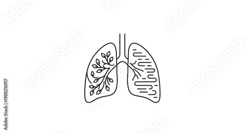 Human lungs anatomy medical illustration.