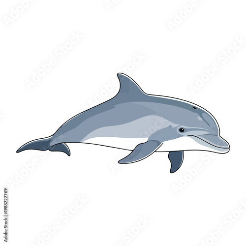 Leaping dolphin against a pure white backdrop clean and simple design