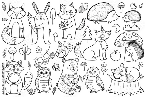 Cute woodland animals collection in black and white. Forest characters isolated on white background in outline. Great for coloring pages. Vector illustration