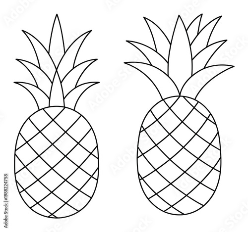 Two Simple Outline Pineapples on a White Background