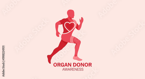 Heart Shape Symbolizing Awareness for Organ Donation Run and Healthy Lifestyle