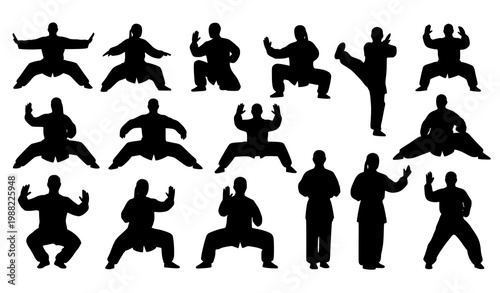 Taichi and silat martial arts silhouettes vector warrior pose set
