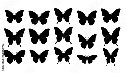 Butterfly silhouette logo vector elegant symmetrical insect set
