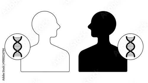 Human heads silhouettes with dna double helix structure icons side by side for genetic research and ancestry concepts
