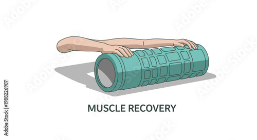 Illustrated Depiction of Muscle Recovery Technique Using A Foam Roller For Wellness
