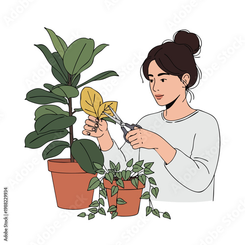 Woman Pruning Houseplant Leaves, Gardening Hobby, Lifestyle Illustration