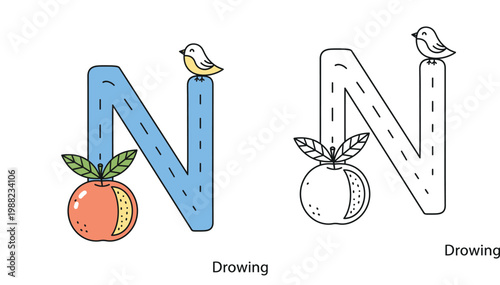 Educational kids alphabet letter N with cute bird and nectarine fruit. Colorful and black outline coloring page vector illustration for preschool learning.