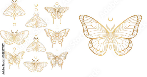 Luxury Golden Celestial Butterfly and Moth Collection Set with Moon Symbol on Dark Background for Mystical Boho Design