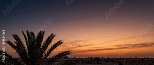 Cinematic Desert Sunset with Palm Tree Silhouette