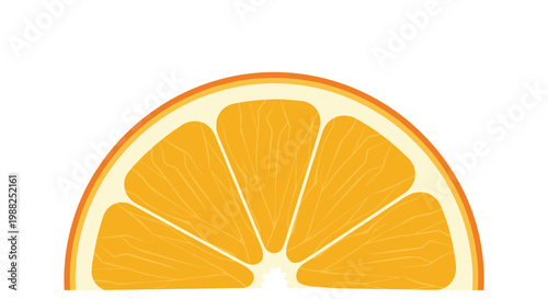 Simple graphic illustration of a juicy orange slice in a semi circle shape showing its pulp and segment detail.