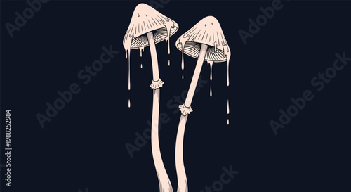 Two tall slender mushrooms with dripping caps shown against a dark black background in a dramatic art style.