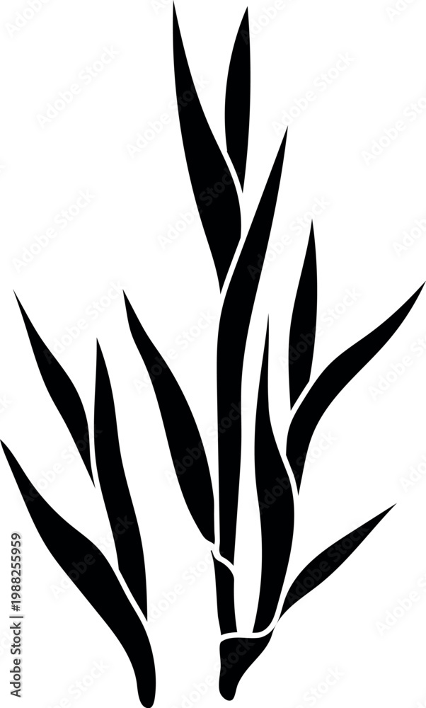 Fototapeta premium Sugarcane stalks group silhouette, dense tropical grass or cereal plant black icons isolated on white background