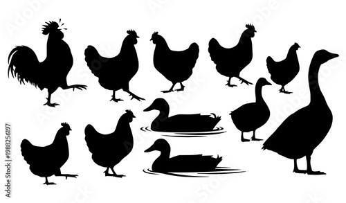 Creative farm poultry silhouettes vector chickens ducks geese animal collection