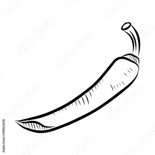 Hand-drawn vector illustration of hot pepper. Black line art on a white background.