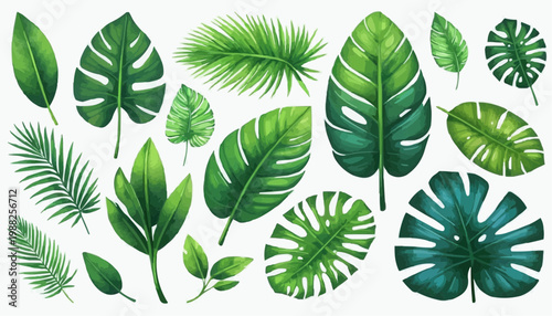 Tropical leaves and botanical foliage vector illustration, isolated on white background.