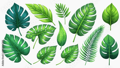Tropical leaves and botanical foliage vector illustration, isolated on white background.