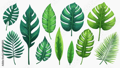 Tropical leaves and botanical foliage vector illustration, isolated on white background.