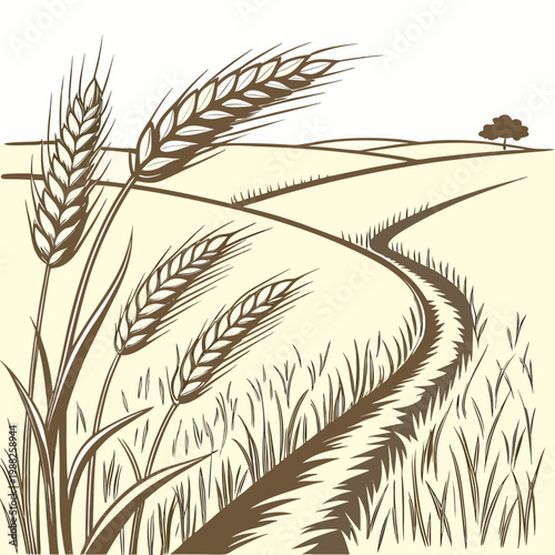 Foto Vector illustration of a wheat field with a winding path and tree in the distanc