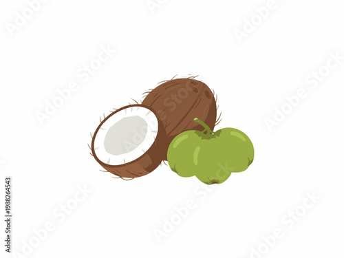 Coconut and sacha inchi fruits isolated on white background