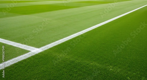 A vibrant green soccer field with crisp white lines, ideal for sports enthusiasts