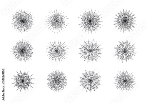 Collection of Twelve Dandelion Seed Head Illustrations.