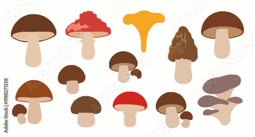 Cartoon mushroom vector set with boletus fly agaric chanterelle and forest fungi isolated on white background