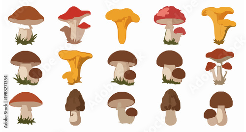 Forest fungi cartoon vector set with boletus fly agaric and chanterelle mushrooms isolated on white background