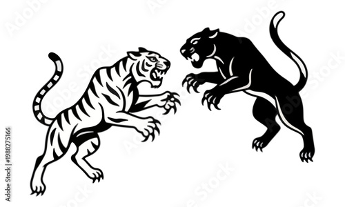 Tiger and Panther Battle Vector Illustration Isolated on White
