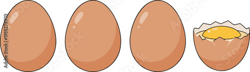 Vector illustration of four brown eggs in a row showing intact shells and cracked egg with visible yolk