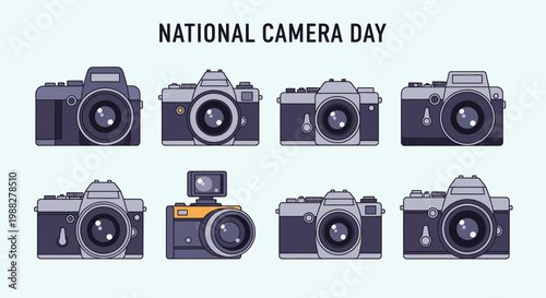 Several cameras are displayed for National Camera Day celebration