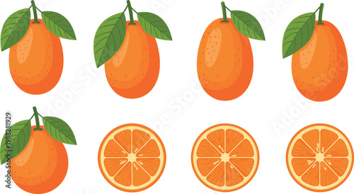 Cartoon Oranges with Whole and Sliced View for Healthy Eating, Fresh Fruit, and Food Design Themes