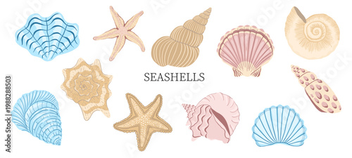 A set of shells, starfish, and underwater elements. A cute collection of hand-drawn seascapes in pastel colors. Vector illustrations for summer, nautical design, beach decor, and children's projects