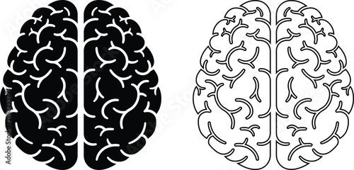 Detailed illustration of a human brain divided into hemispheres showcasing complex cortical structures