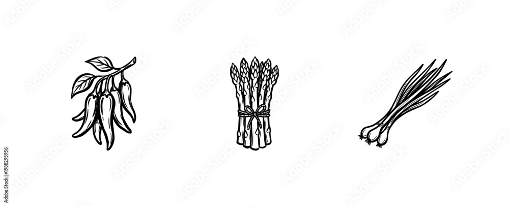 Fototapeta premium Fresh Garden Vegetables and Organic Produce Elements with Hand-Drawn Inky Brushwork and Calligraphic Outlines