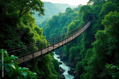 High above jungle canopy, rickety suspension bridge sways , walkway, high angle, journey