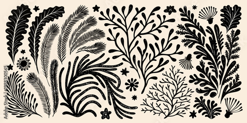 Intricate botanical illustration featuring diverse black seaweed and floral elements