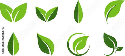 Green Leaf Set with Fresh Botanical Elements and Organic Nature Icons Flat Vector Illustration