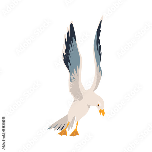 Detailed isolated seagull with spread wings in flight on white background vector illustration